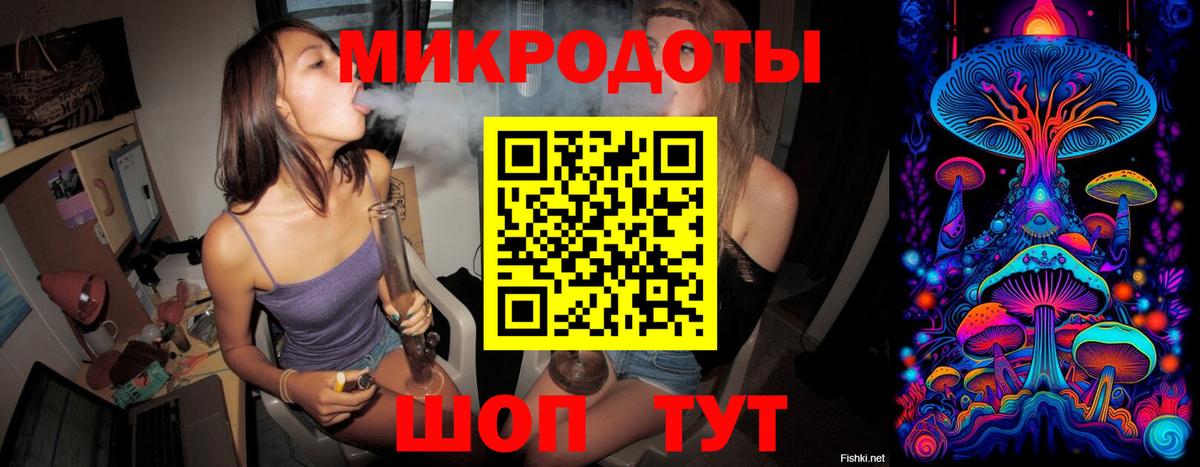 Галлюциногенные грибы MAGIC MUSHROOMS  купить закладку  Тулун  Вход с VPN 